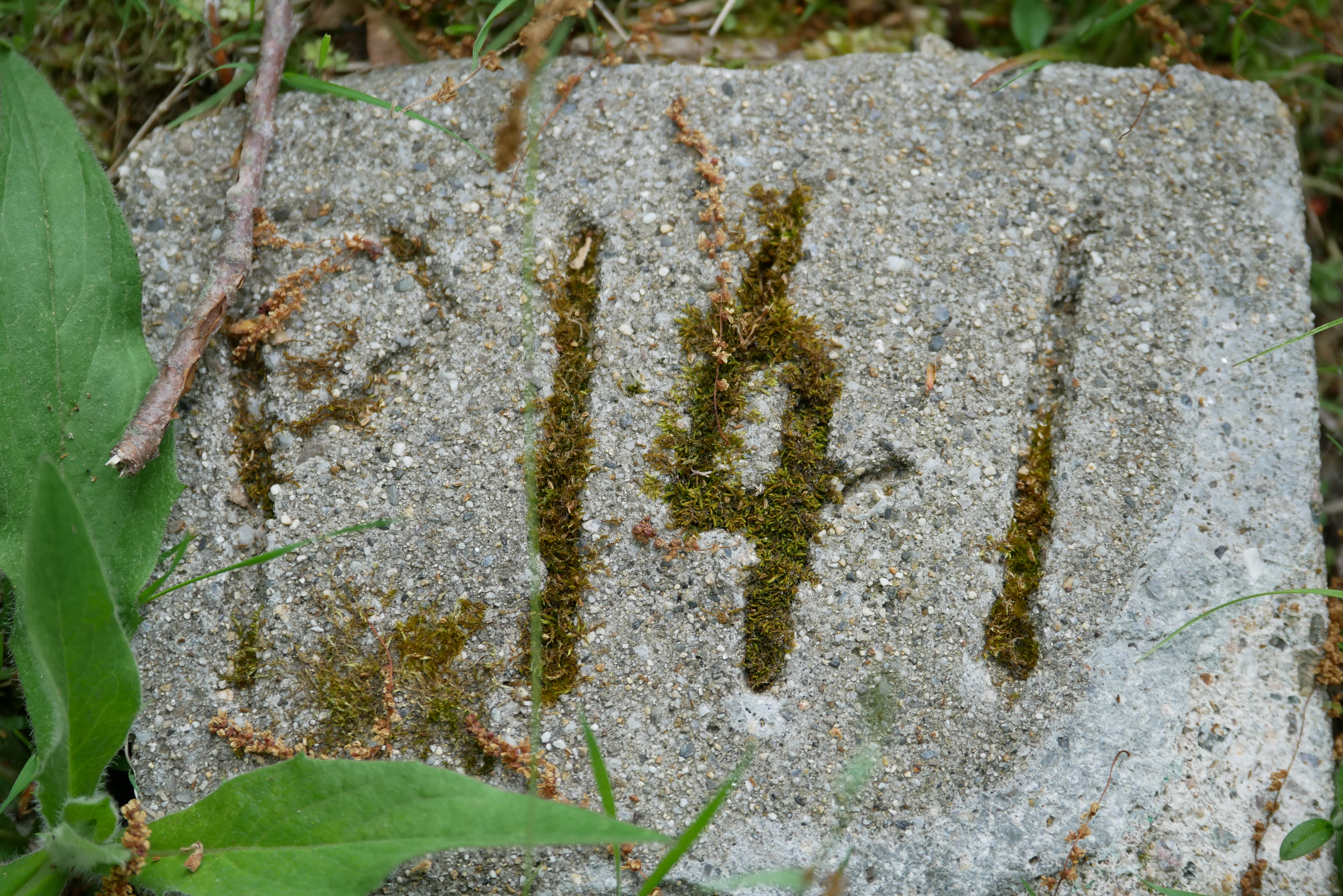 Cemetery Stone